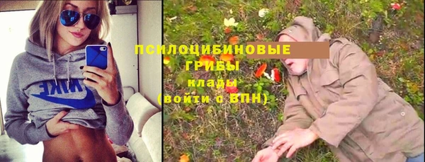 spice Вязники