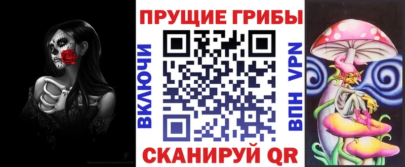 купить  цена  Дербент  Псилоцибиновые грибы Cubensis 